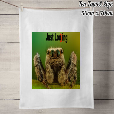 Spider "Just Looking" - 50% Linen Tea Towel - White Thumbnail