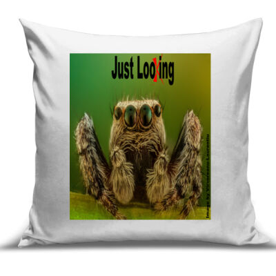 Spider "Just Looking" - Cushion Cover - 100% Linen Thumbnail