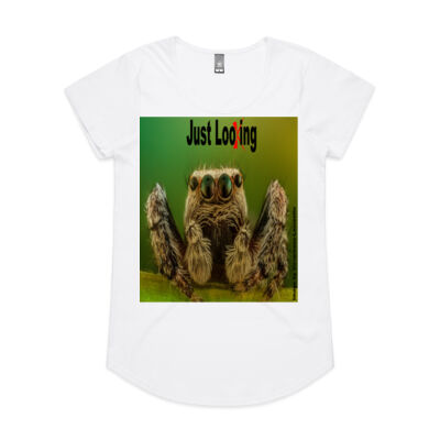Spider "Just Looking" - AS Colour - Women's 'Mali' Scoop Tee Thumbnail