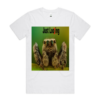 Spider "Just Looking" - AS Colour - Organic Cotton Unisex Tee Thumbnail