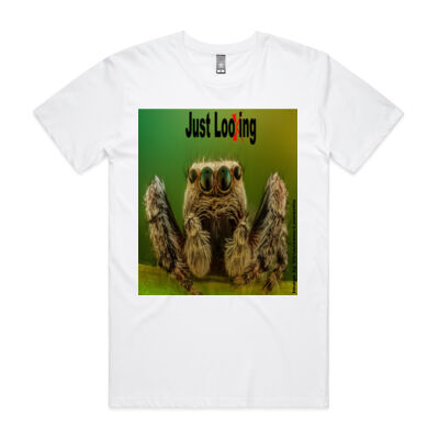 Spider "Just Looking" - AS Colour - Staple Crew Tee (Premium) Thumbnail